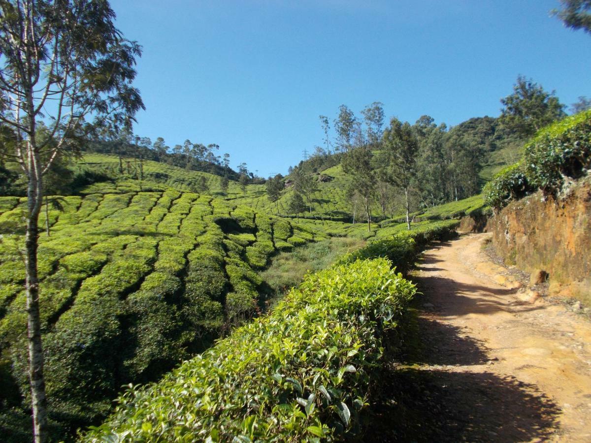 Greenview Holiday Inn Munnar Extérieur photo